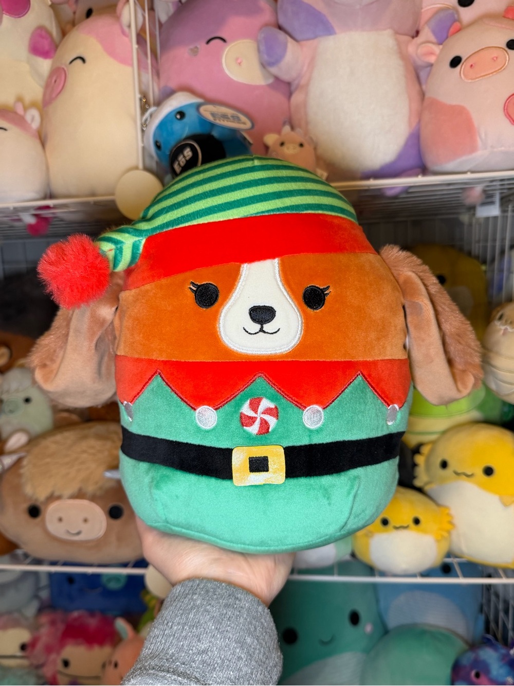 Squishmallows Christmas Darcy the King Charles Spaniel 8” Stuffed Plush